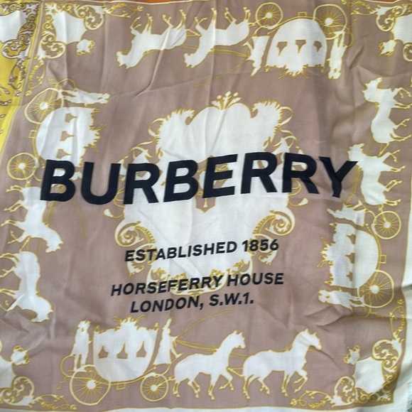 Burberry Cashmere Scarf - Picture 4 of 6